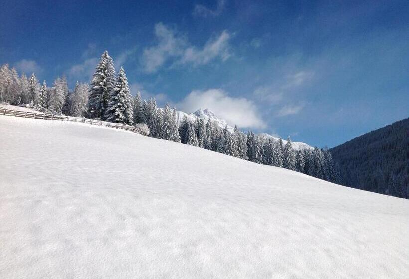 Отель Biohof Hamann