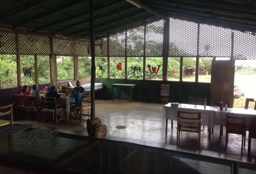 هتل Cabinas Piuri