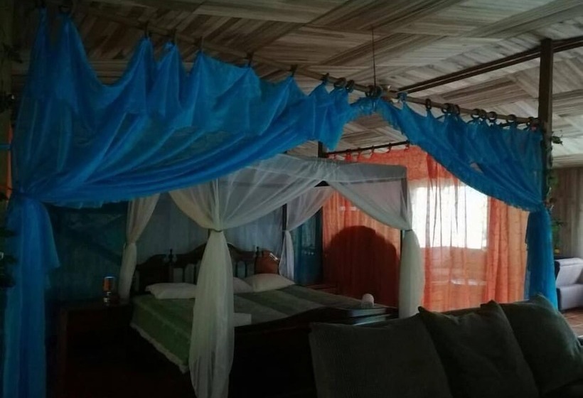 هتل Cabinas Piuri