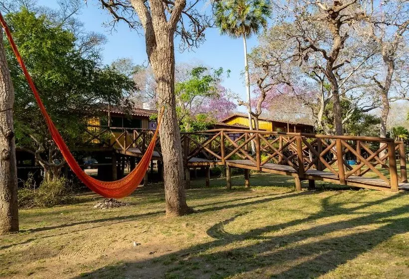Hotel Pantanal Jungle Lodge