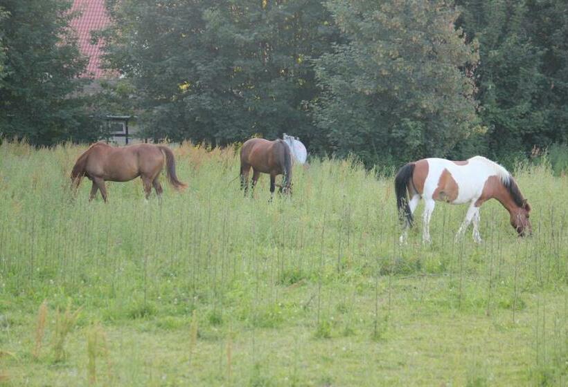 ホテル Pension Haus Stork