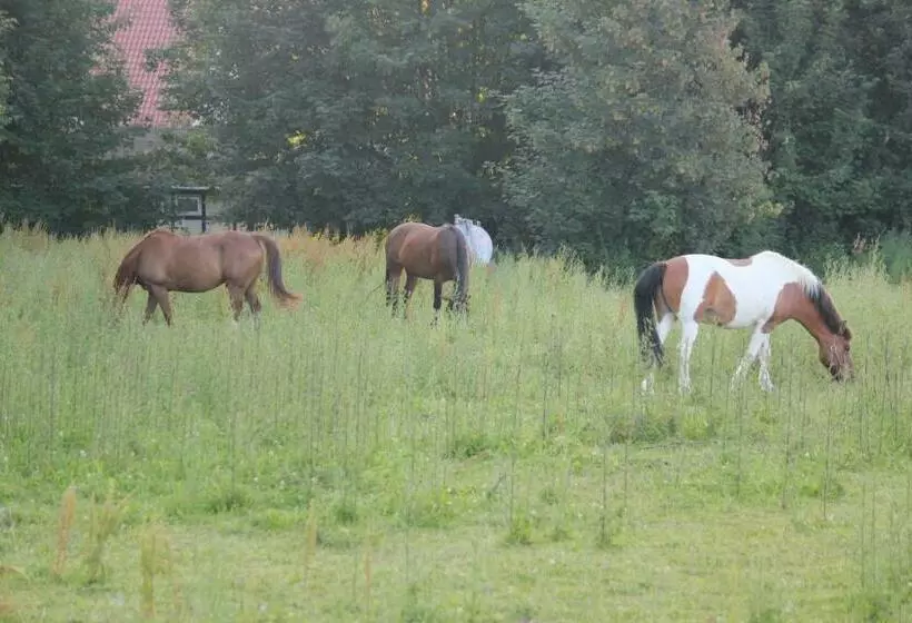 Hotelli Pension Haus Stork