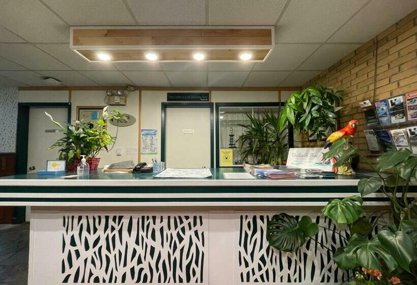 汽车旅馆 Valhalla Inn