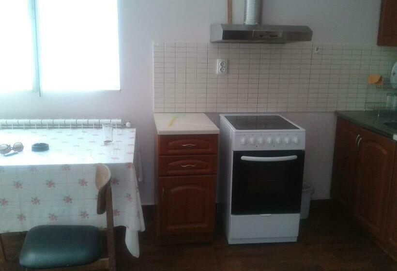 膳宿费 Guesthouse Tanya