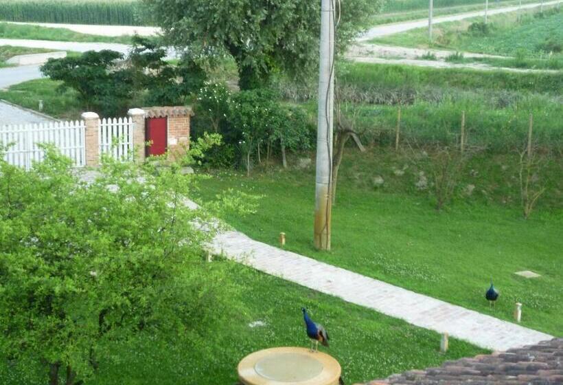 بنسيون Locanda Ca Vejo Srl