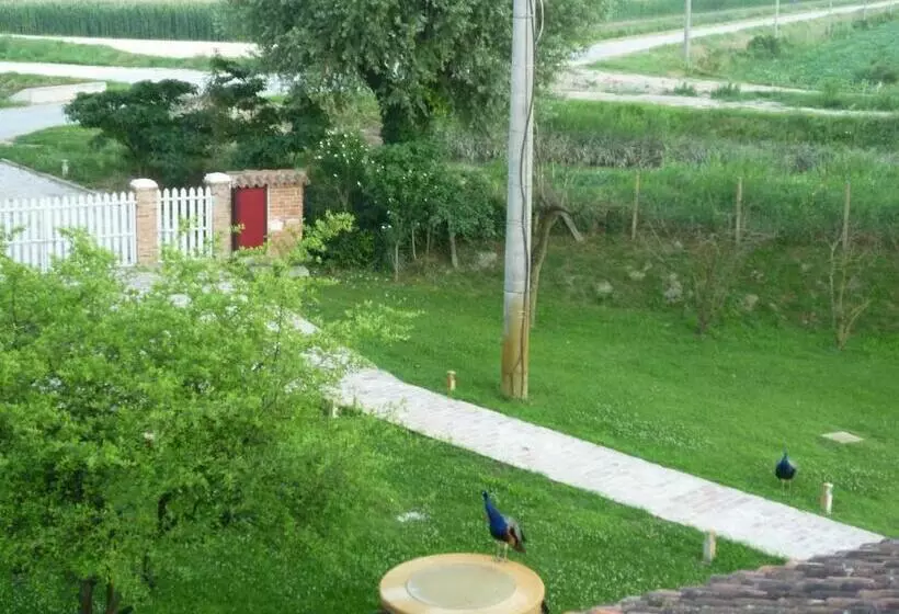 ペンション Locanda Ca Vejo Srl