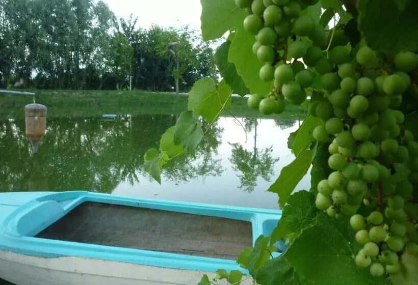 ペンション Locanda Ca Vejo Srl