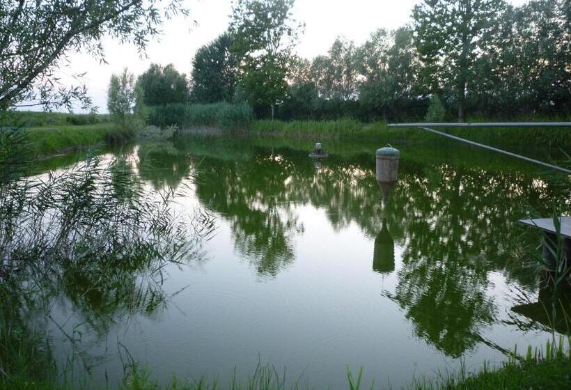 بنسيون Locanda Ca Vejo Srl