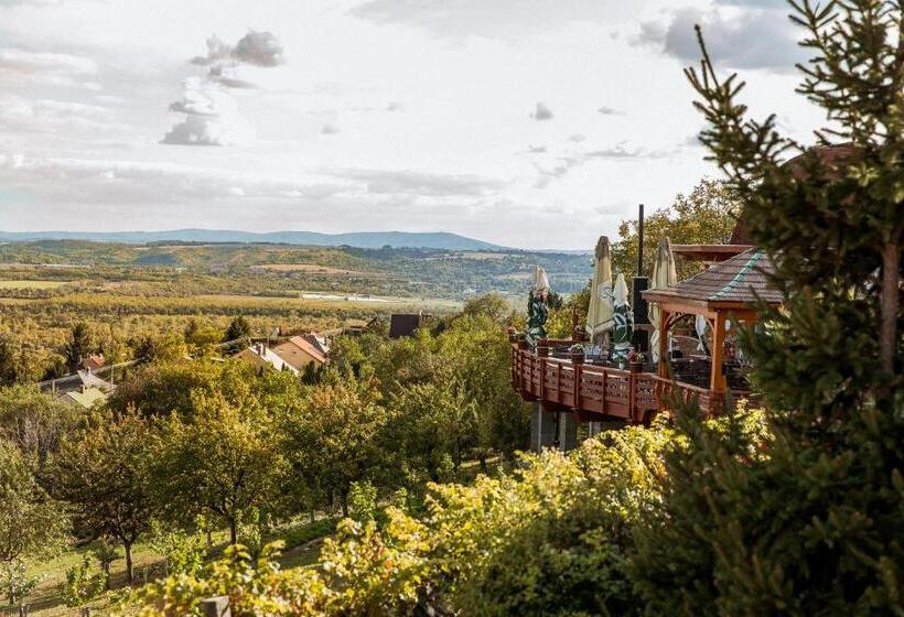 住宿加早餐  Bagoly Pincesor Fogado