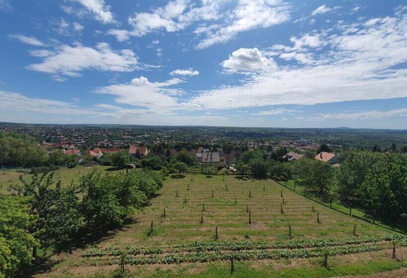 צימר Bagoly Pincesor Fogado