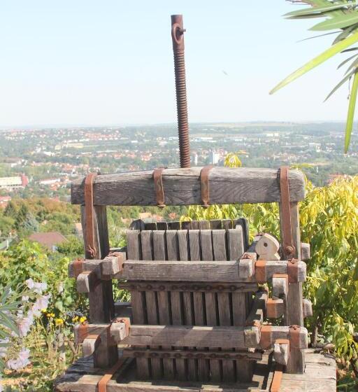 צימר Bagoly Pincesor Fogado