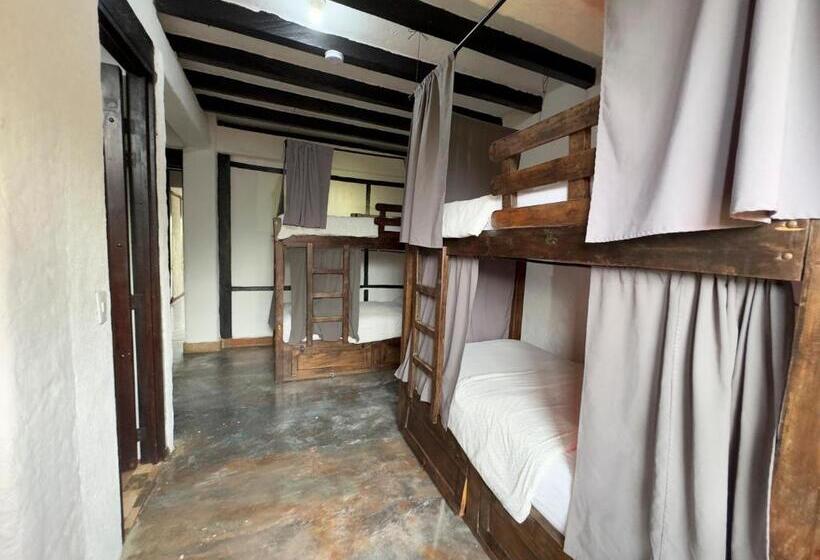 Coffee Tree Boutique Hostel