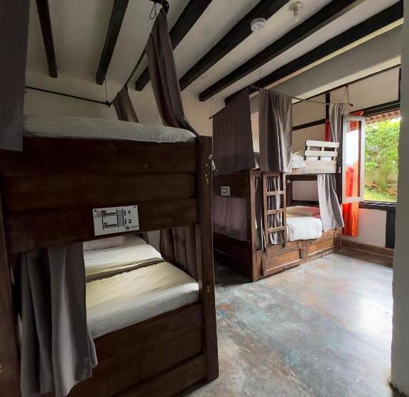 Coffee Tree Boutique Hostel