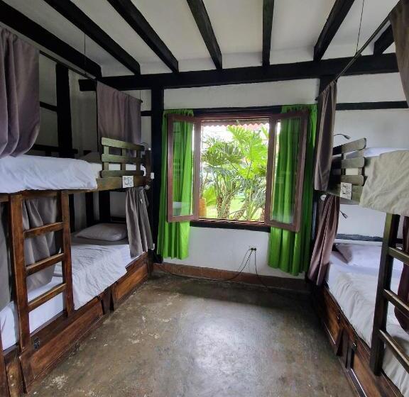 Coffee Tree Boutique Hostel