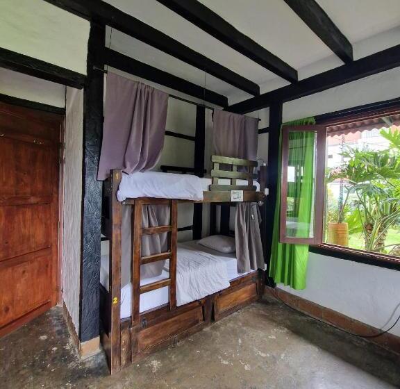 Coffee Tree Boutique Hostel