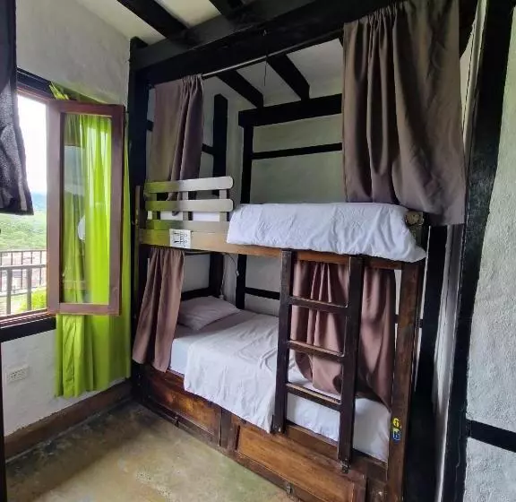 Coffee Tree Boutique Hostel