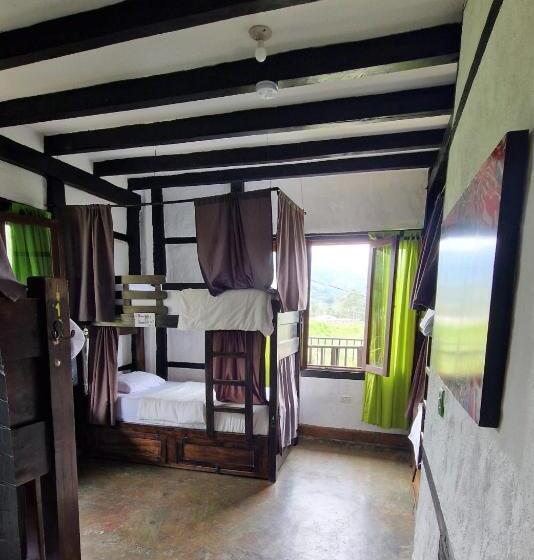 Coffee Tree Boutique Hostel