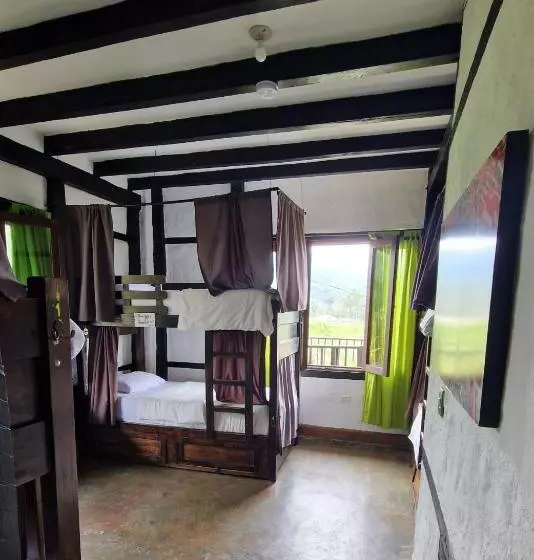 Coffee Tree Boutique Hostel
