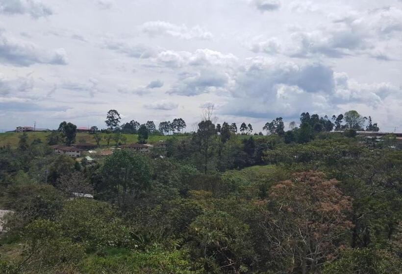 Coffee Tree Boutique Hostel