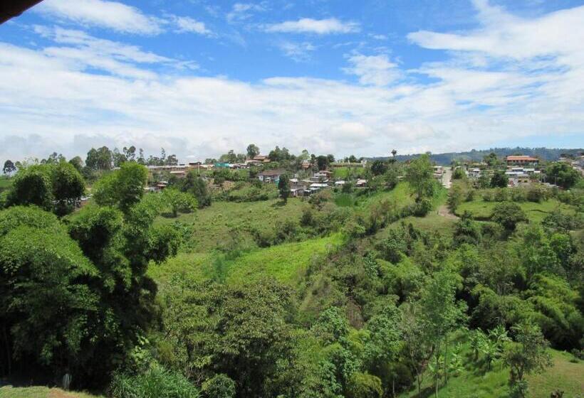 Coffee Tree Boutique Hostel