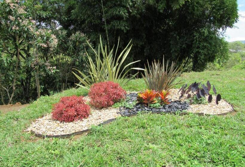 Coffee Tree Boutique Hostel