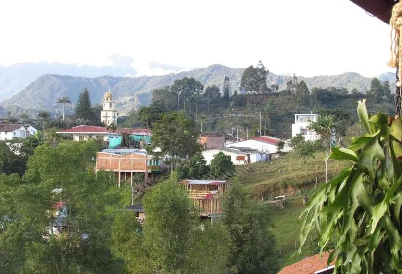 Coffee Tree Boutique Hostel