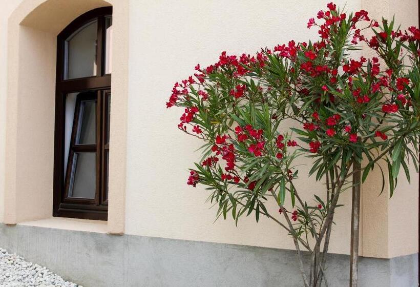 بنسيون Vadszőlő Vendégház