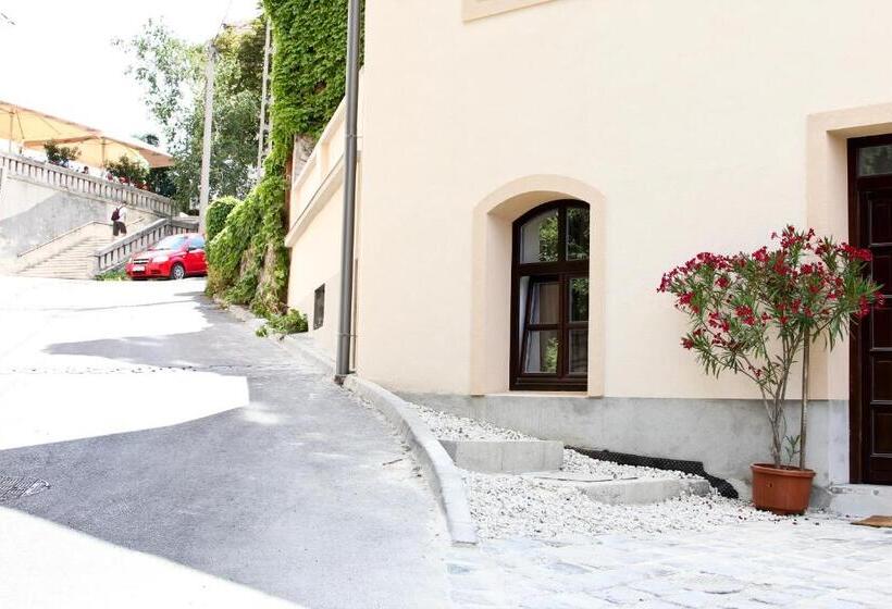 بنسيون Vadszőlő Vendégház