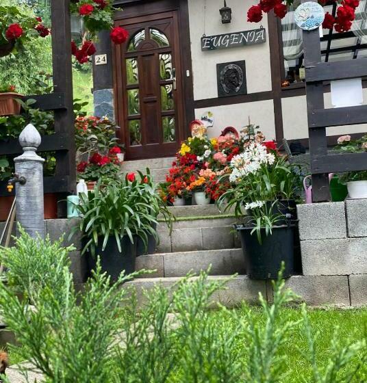Pensiunea Eugenia