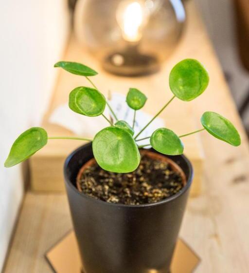 Bed and Breakfast Bnb Nest