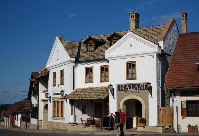 ベッドアンドブレックファースト Halasi Pince Panzió