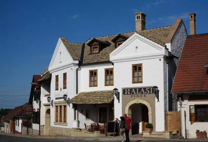 Aamiaismajoitus (B&B) Halasi Pince Panzió