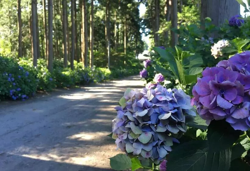 ペンション Masugataya Ryokan
