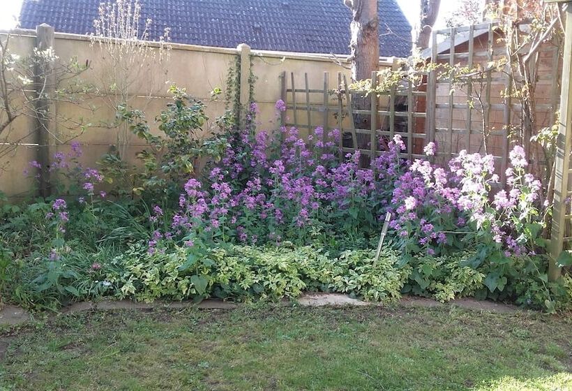 민박 Chambres Du Jardin Fleuri