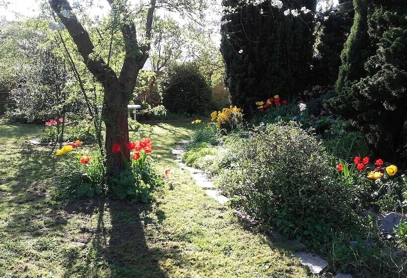 민박 Chambres Du Jardin Fleuri