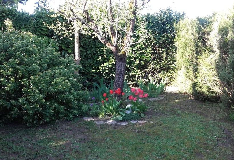 민박 Chambres Du Jardin Fleuri