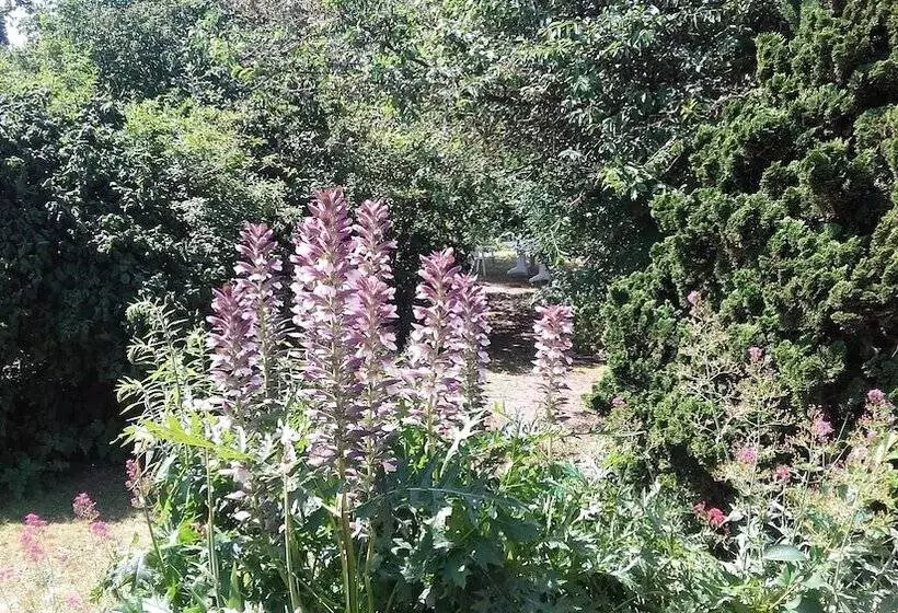 Aamiaismajoitus (B&B) Chambres Du Jardin Fleuri