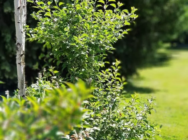 Aamiaismajoitus (B&B) La Roseraie