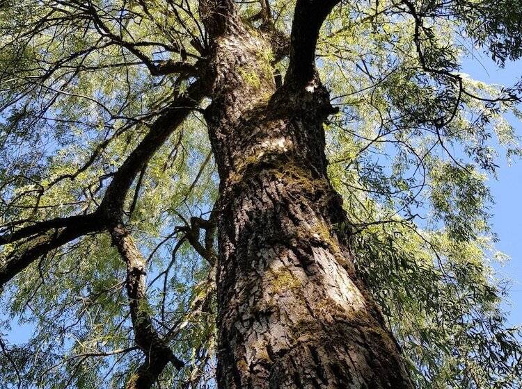 ベッドアンドブレックファースト La Roseraie