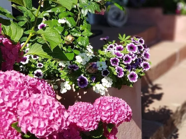 Aamiaismajoitus (B&B) La Roseraie