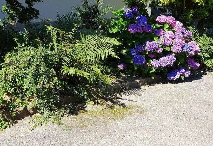 Aamiaismajoitus (B&B) La Roseraie