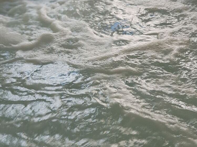 ベッドアンドブレックファースト La Roseraie