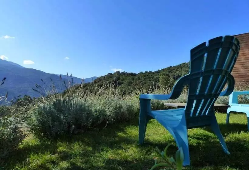 ベッドアンドブレックファースト Maison D’hôtes Zella