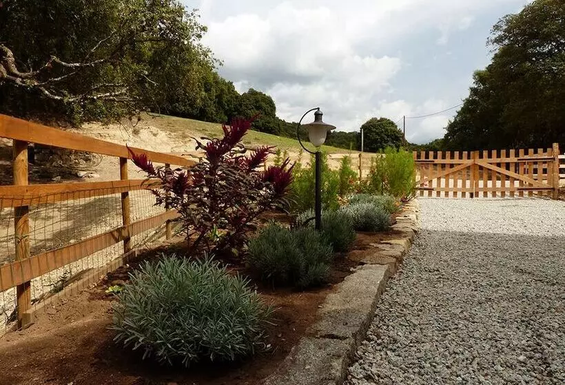 ベッドアンドブレックファースト Maison D’hôtes Zella