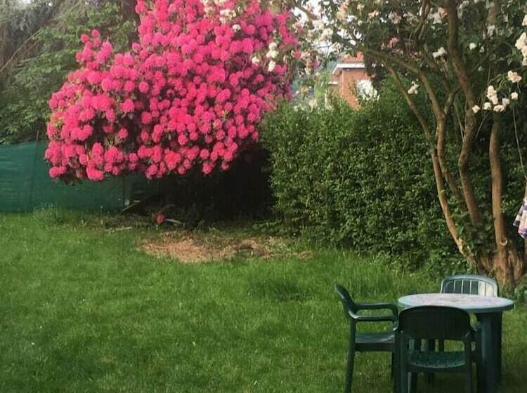 Bed and Breakfast Z House