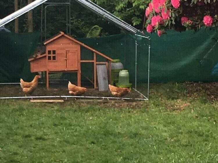 Bed and Breakfast Z House