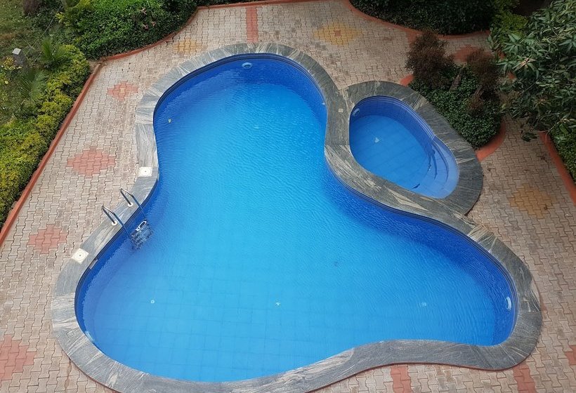 Hotel Dolphin Resort