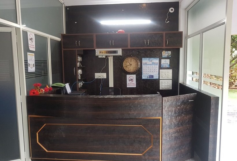 Hotel Dolphin Resort