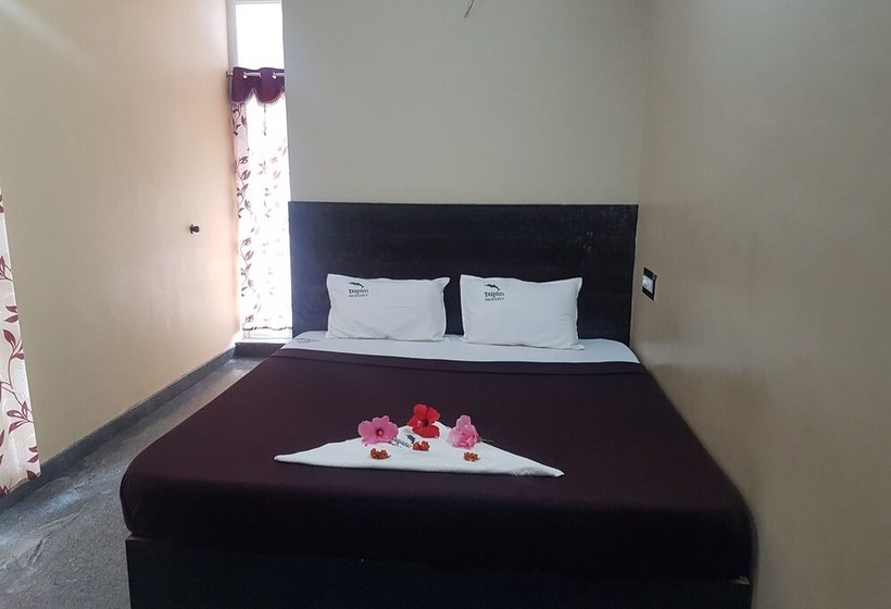 Hotel Dolphin Resort