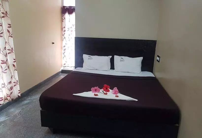 Hotelli Dolphin Resort